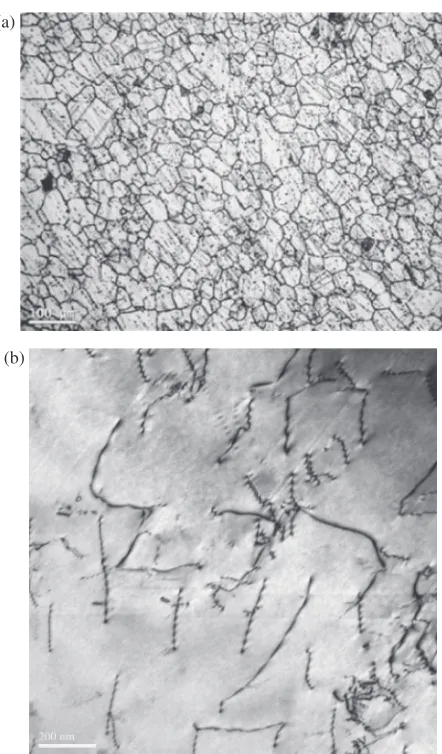 Fig. 1Micrographs of test specimen prepared from solution-annealedInconel 690 plate: (a) Optical microscope, and (b) TEM.