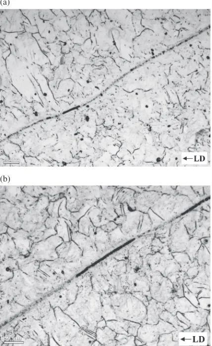 Fig. 8Optical micrographs showing cross-section parallel to loadingdirectioninInconel690specimensdeformedatstrainrateof6 © 103 s¹1 and temperatures of: (a) 25°C; and (b) ¹150°C.