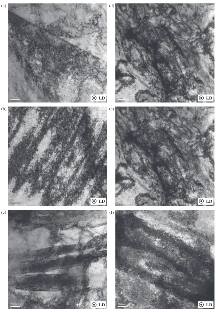 Fig. 10TEM micrographs showing dislocation microstructures of Inconel 690 specimens deformed at: (a) 2 © 103 s¹1, 25°C;(b) 2 © 103 s¹1, 0°C; (c) 2 © 103 s¹1, ¹150°C; (d) 6 © 103 s¹1, 25°C; (e) 6 © 103 s¹1, 0°C; and (f ) 6 © 103 s¹1, ¹150°C