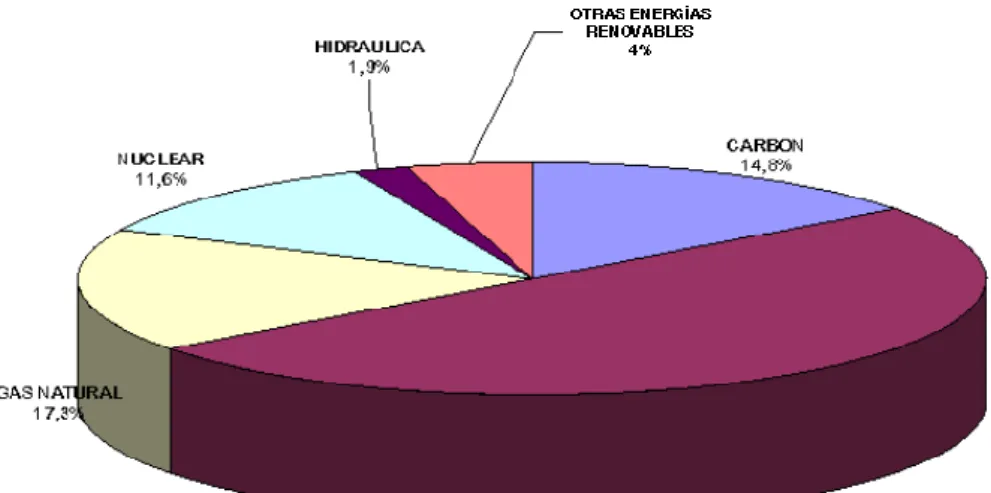 Figure 9: Primary energy consumption in Spain in  2004 