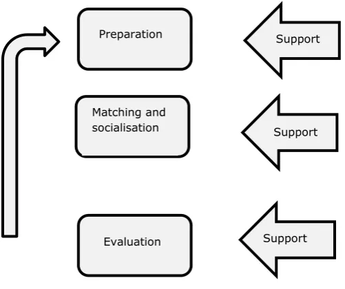 Figure 1 The component elements of the mentoring scheme 