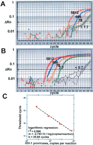 FIG. 4. Second regression, for provirus content in unknowns. (A) The number of copies of HIV-1 DNA in dilutions of the nonpreampliﬁed ISare shown over the corresponding ampliﬁcation curves