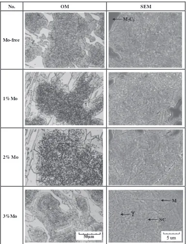 Fig. 3As-hardened microstructures of test specimens observed by OM and SEM. (M: Martensite and SC: Secondary carbide)