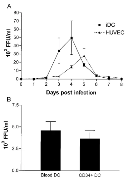 FIG. 3. Kinetics of virus production by HTNV-infected HUVECsand DCs from different sources