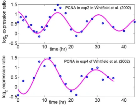 Figure 1arrest (exp4) studiesthymidine-thymidine (exp2) arrest and thymidine-nocodazole Log2 expression ratio for PCNA, a known G1/S phase gene, in Log2 expression ratio for PCNA, a known G1/S phase gene, in thymidine-thymidine (exp2) arrest and thymidine-