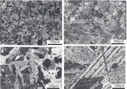 Fig. 4Microstructures on compacts produced at the maximum ﬁxed temperatures of (a) 1243 and (b) 1393 K