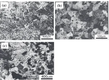 Fig. 5Microstructures of compacts cyclic heated and cooled at (b) ① and (c) ④ conditions listed in Table 1, (a) after the holding at1443 K for 0.9 ks as early stage in the cycles.