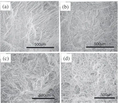 Fig. 9Fracture surfaces on some tensile tested samples with different microstructures, showing the values of (a) 94%, 21%, 26%,(b) 99%, 26%, 27%, (c) 99.7%, 9%, 11% and (d) 98%, 13%, 14%, in the relative density, total elongation, reduction of area, respectively.