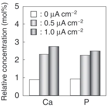 Fig. 9Calcium phosphate precipitates formed on the Ti area of the Au-coated Ti sample after 7 d immersion in Hanks solution.