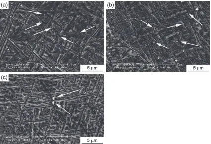Fig. 6Microstructure of 0.01La alloy after heat treatment at (a) 1273 K, (b) 1373 K and (c) 1473K for 3.6 ks.