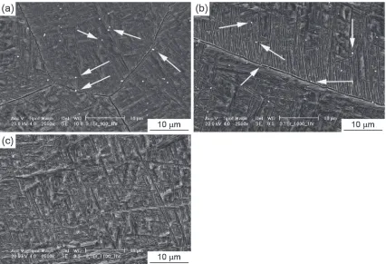 Fig. 9Microstructure of 0.1Ce alloy after heat treatment at (a) 1173 K and (b) 1273 K for 3.6 ks.