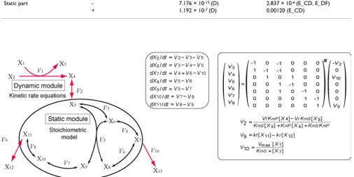 Table 2: Errors between the dynamic model and the hybrid model of the pathway shown in Fig