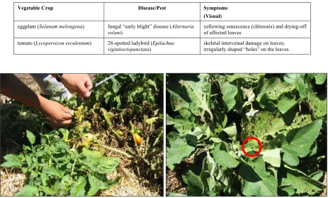 Table 1. Vegetable crops and pest and diseases in the study 