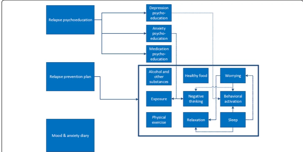 Fig. 1 Content of E-health programme