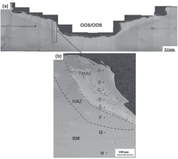 Fig. 1Optical microscopy image of the cross section of the ODS/ODS joint: (a) overview and (b) detail with Vickers indent row acrossthe welding zones.