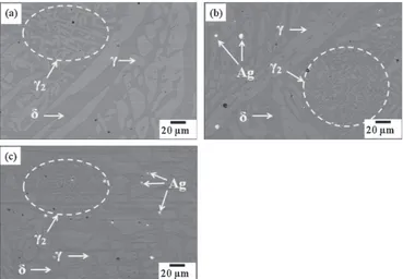 Fig. 3Optical micrographs of 2205 duplex stainless steel etched by an LB1 reagent solution