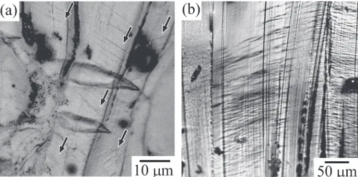 Fig. 1Slip traces of non-basal slip observed in (a) the Mg89Zn4Y7 high-volume-fraction LPSO phase extruded alloy specimen deformedat RT to ³2% plastic strain, and (b) the DS specimen deformed at 400°C to ³8% plastic strain