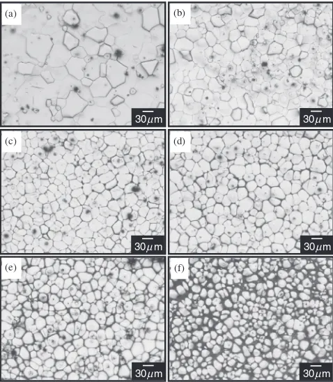 Fig. 4SEM micrographs in which (a) magnesium was sublimated from aMg­5.9La alloy exhibiting the interconnected skeletal structure of amagnesium­lanthanum compound and (b) lanthanum compound wasetched away from a Mg­2.1La alloy, leaving behind the skeletal structureof eutectic magnesium.