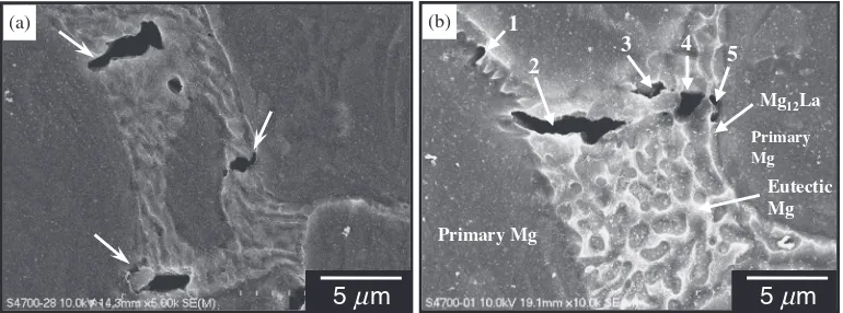 Fig. 21Initiation of voids and cracks, indicated by arrows, within the eutectic regions of (a) Mg­1.6La­Zr and (b) Mg­2.6La­Zr alloys.