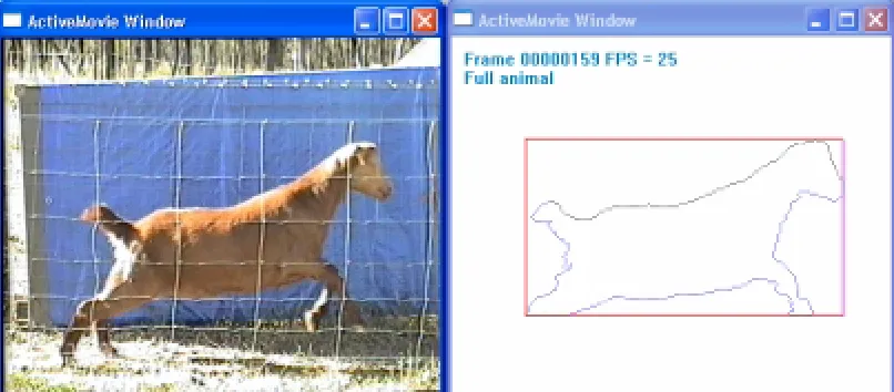 Fig 1.  Goat and boundary 