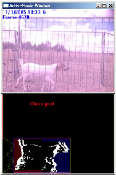 Fig 2. Sheep and boundary 