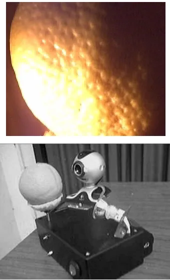 Fig 8.  Orange, illumination and camera 