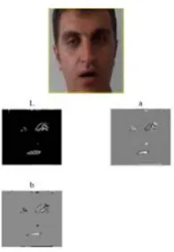 Fig. 2. Sample of derived lips area