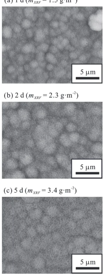 Fig. 5Comparison of SEM images of sample surface and mass thicknessof the CP-precipitate layer determined using the thin-ﬁlm FP method:(a) soaked for 1 d, (b) soaked for 2 d and (c) soaked for 5 d.