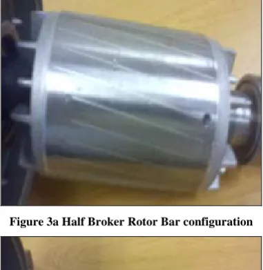 Figure 3a Half Broker Rotor Bar configuration 