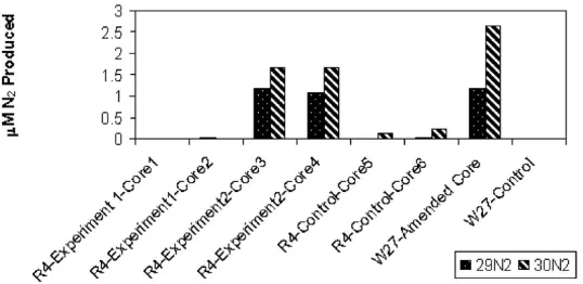 FIG. 3. Concentrations of dissolved 29N2 and 30N2 in core incubations after 48 h in R4 cores and 24 h in W27 cores