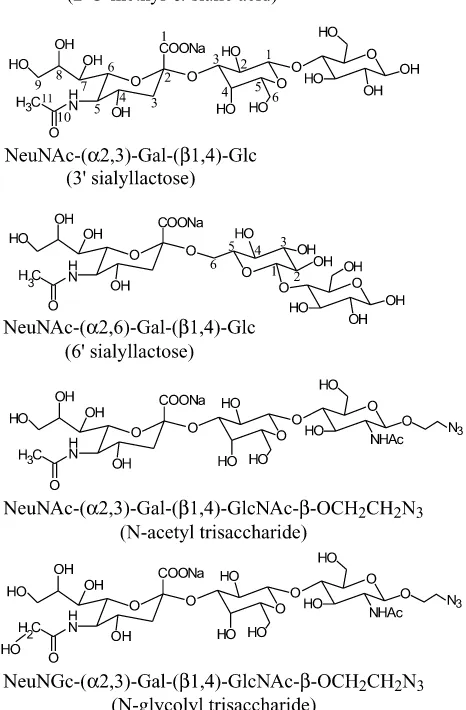 FIG. 1. Structures of the sialosides used in the binding analysis. Ashort form of the name for each compound is given in parentheses
