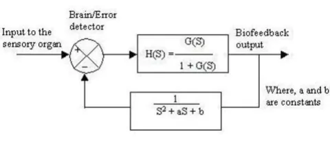 Figure 15order transduction phaseBlock diagram representation of system incorporating 1st Block diagram representation of system incorporating 1st 