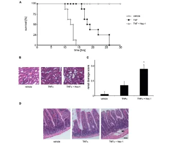 Figure 4. Necrostatin-1 accelerates death and worsens organ damage after TNF mediated shock in the absence of caspase inhibition
