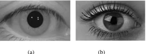Figure 1. Iris image taken under a) NIR [10] and b) visible wavelength.  