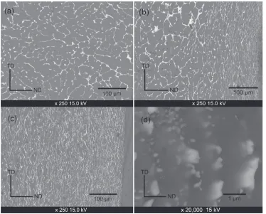 Fig. 3Back Scattered Electron (BSE) images of the Al­20Sn (mass%) alloy: (a) as-cast (b) 2 passes outer face, (c) 5 passes outer face,and (d) 5 passes outer face at high magniﬁcations.