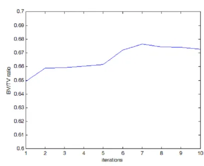 Figure 6BV/TV Evolution During Adaptation ProcessBV/TV Evolution During Adaptation Process