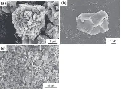 Fig. 1SEM photographs of the surface morphology: (a) electrolysis Ni powders, (b) reduction Cr powders and (c) Ni­50 mass% Cr alloypowders after 1 h ball mixing.