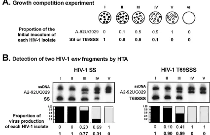 TABLE 1. Susceptibility to AZT and relative ﬁtness ofrecombinant HIV-1 constructs