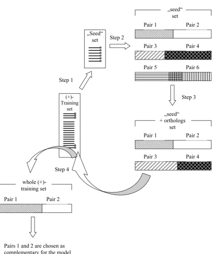 Figure 4Algorithm of the search for complementary pairs using "seed" setsAlgorithm of the search for complementary pairs using "seed" sets Step 1