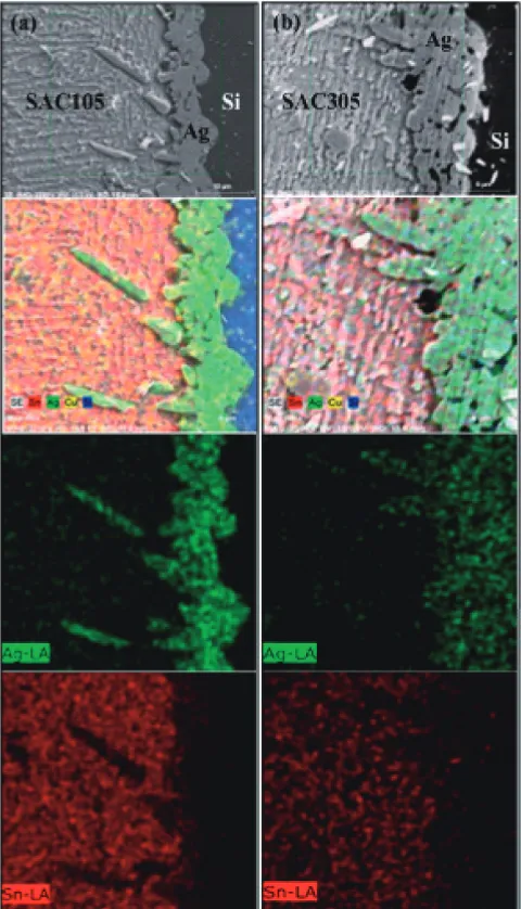 Fig. 4The interfacial microstructure between solder and Cu: (a) SAC105and (b) SAC305 solders.