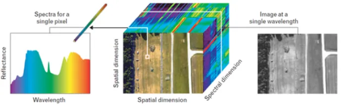 Figure 2.3: The spectral reﬂectance of vegetation and terrain. [25].