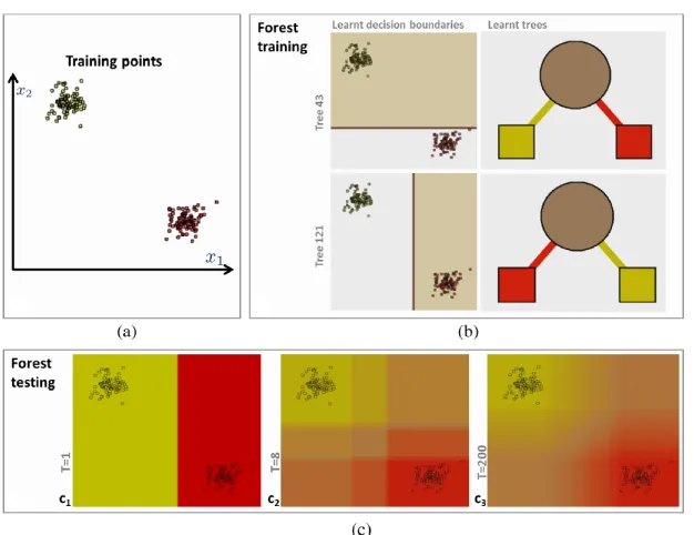 Figure 2.10: Example of a RF classiﬁer. (a) The training samples plotted in 2-d space