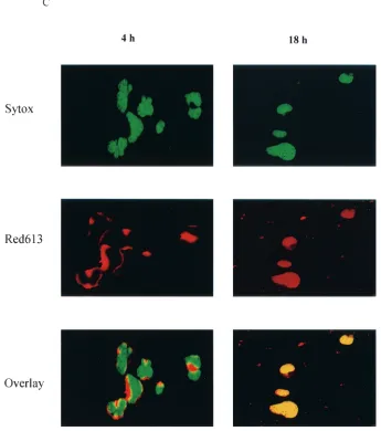 FIG. 1—Continued.