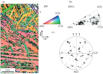 Fig. 10An inverse pole ﬁgure map (a) and a phase map measured (b) by EBSD for sample with thermo-mechanical training