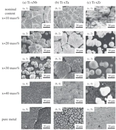 Fig. 5SEM image of pure Ti soaked in SBF for 1 week after subjecting toalkali treatment in 1 mol/L NaOH solution at 363 K for 259.2 ks.