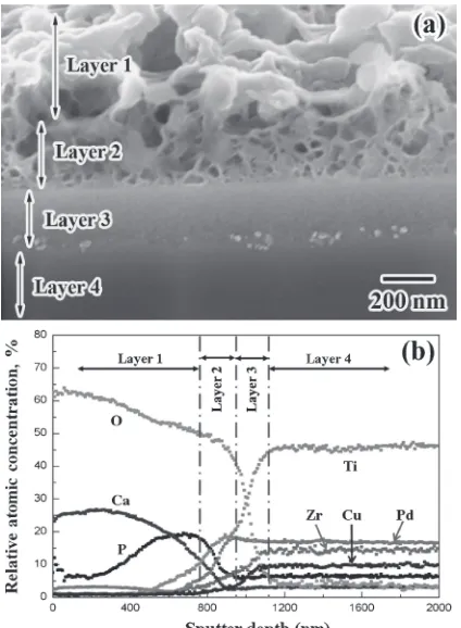 Fig. 14SEM images of two-step pretreated Ti40Zr10Cu36Pd14 metallic glass after immersion in Hanks’ solution at 310 K for different times(a) one (b) two (c) three and (d) six days.116)
