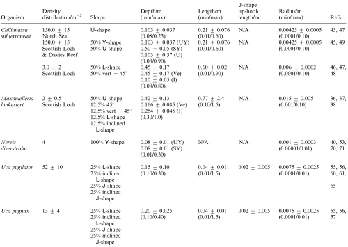 Table 1 Parametrization of burrows. Cumulative distribution functions are Gaussian. Ve ~ vertical burrow parameter; UY ~ upper branches ofY-shaped burrow parameter; SY ~ stem of U-shaped burrow parameter; I ~ 45u inclined burrow parameter; U ~ U-shaped burrow parameter;Y ~ Y-shaped burrow parameter, L ~ L-shaped burrow parameter