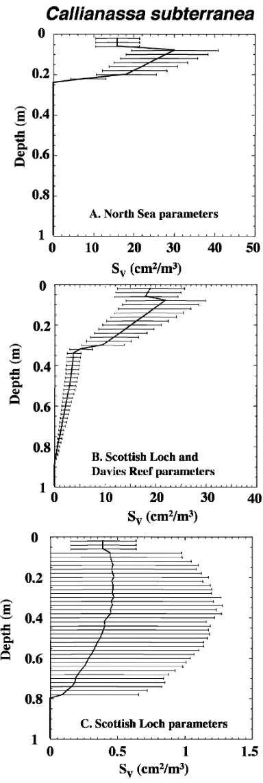 Fig. 4 SEchiuran wormV as a function of depth for burrow network simulations of the Maxmuelleria lankesteri