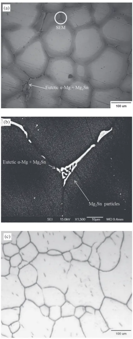 Fig. 1OM and SEM images of Mg­5(mass%) Sn alloy (a) OM as-cast, (b)SEM as-cast and (c) OM as-SHT at 480°C for 22 h.