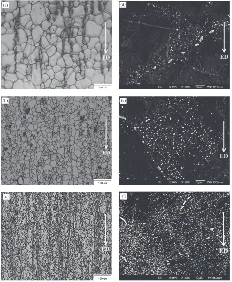 Table 1Average grain size of Mg­5(mass%) Sn alloy.